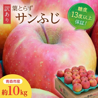 【青森産】糖度13度以上保証!訳あり葉とらずサンふじ家庭用約10kg【配送不可地域:離島・沖縄】【1436011】青森県青森市16000果物・フルーツりんご・梨