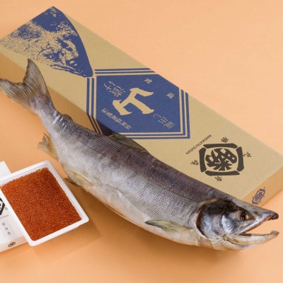 【お歳暮のし】 鮭の山漬(塩鮭)といくらの親子セット【2L】製品重量:3.0kg前後・いくら430g【配送不可地域:離島】【1464593】青森県青森市46000魚介・海産物いくら