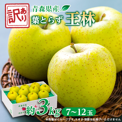 y󂠂񂲁zXsYt炸і3kg(p)yzsnFEzy1466366zXXs9000ʕEt[c񂲁E