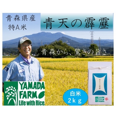 【さつき米】青森県産米「青天の霹靂」白米 2kg【1484847】青森県青森市11000米・パン白米