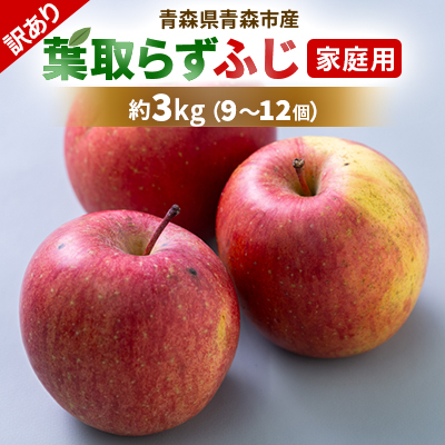 【訳あり】りんご 「葉取らずふじ」 (家庭用)約3kg(9〜12個入り)【配送不可地域:離島】【1496471】青森県青森市9000果物・フルーツりんご・梨