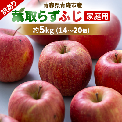 【訳あり】りんご 「葉取らずふじ」 (家庭用)約5kg(14〜20個入)【配送不可地域:離島】【1496472】青森県青森市13000果物・フルーツりんご・梨