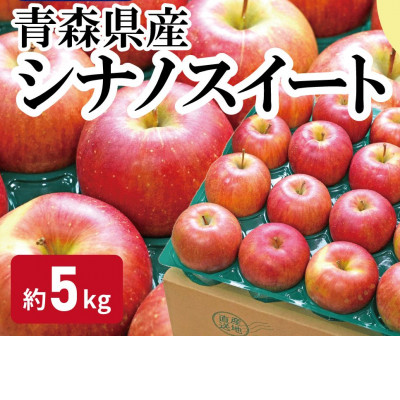 【青森市産】糖度13度以上!おもてなし用シナノスイート 約5kg【配送不可地域:離島・沖縄】【1521227】青森県青森市12000果物・フルーツりんご・梨