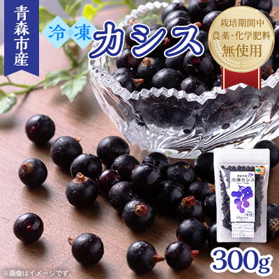 青森市産冷凍カシス300g【配送不可地域:離島】【1543579】青森県青森市9000果物・フルーツその他 果物・フルーツ