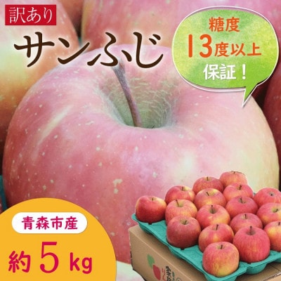 【青森市産】糖度13度以上保証!サンふじ 訳アリ 家庭用 約5kg ※離島・沖縄は配送不可【配送不可地域:離島・沖縄】【1563849】青森県青森市12000果物・フルーツりんご・梨