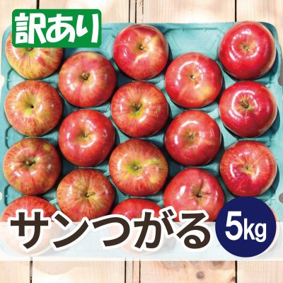 平均糖度12度以上! サンつがる 約5kg 訳あり クール便【配送不可地域:離島・沖縄】【1606199】青森県青森市11000果物・フルーツりんご・梨