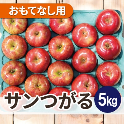【2025年9月発送予定】平均糖度12度以上!葉とらずサンつがる 約5kg おもてなし用 クール便【配送不可地域:離島・沖縄】【1607021】青森県青森市14000果物・フルーツりんご・梨