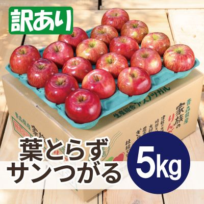 【2025年9月発送予定】平均糖度12度以上! 葉とらずサンつがる 約5kg 訳あり クール便【配送不可地域:離島・沖縄】【1607025】青森県青森市11000果物・フルーツりんご・梨
