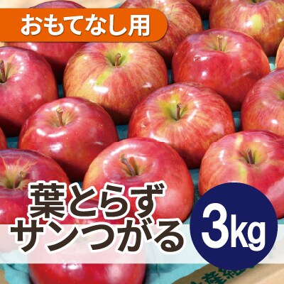 【2025年10月発送予定】平均糖度12度以上! 葉とらずサンつがる 約3kg おもてなし用【配送不可地域:離島・沖縄】【1607040】青森県青森市9000果物・フルーツりんご・梨