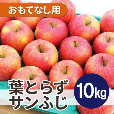 【2025年11月発送予定】平均糖度13度以上! 葉とらずサンふじ 約10kg おもてなし用【配送不可地域:離島・沖縄】【1607466】青森県青森市24000果物・フルーツりんご・梨
