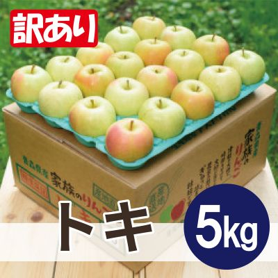 【2025年11月より順次発送】平均糖度13度以上! トキ 約5kg 訳あり【配送不可地域:沖縄】【1608000】青森県青森市10000果物・フルーツりんご・梨