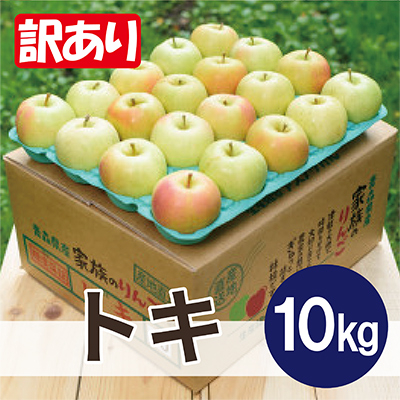 【2025年11月より順次発送】平均糖度13度以上! トキ 約10kg 訳あり【配送不可地域:沖縄】【1608006】青森県青森市14000果物・フルーツりんご・梨