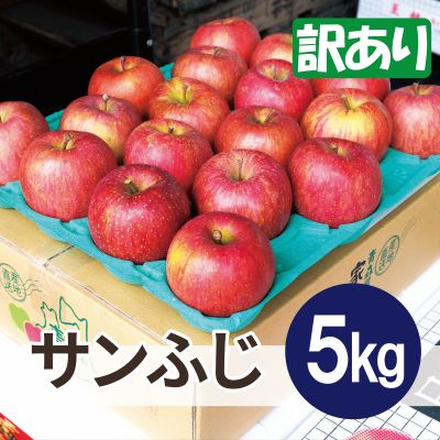 【25年11月より順次発送】平均糖度13度以上! サンふじ 約5kg 訳あり【配送不可地域:離島・沖縄】【1609618】青森県青森市13000果物・フルーツりんご・梨