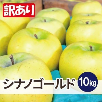 【25年11月より順次発送】平均糖度13度以上! シナノゴールド 約10kg 訳あり【配送不可地域:離島・沖縄】【1609631】青森県青森市16000果物・フルーツりんご・梨