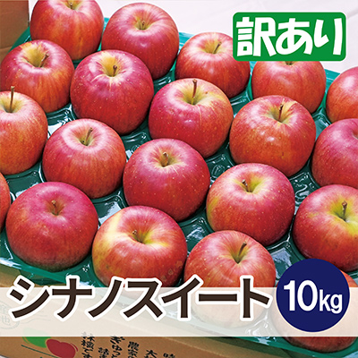 【25年11月より順次発送】平均糖度13度以上! シナノスイート 約10kg 訳あり【配送不可地域:離島・沖縄】【1609638】青森県青森市17000果物・フルーツりんご・梨