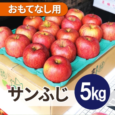 平均糖度13度以上! サンふじ 約5kg おもてなし用【配送不可地域:離島・沖縄】【1612825】青森県青森市17000果物・フルーツりんご・梨