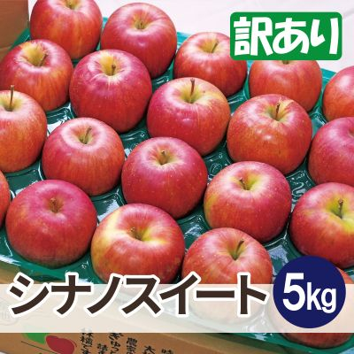 平均糖度13度以上! シナノスイート 約5kg 訳あり【配送不可地域:離島・沖縄】【1612868】青森県青森市12000果物・フルーツりんご・梨