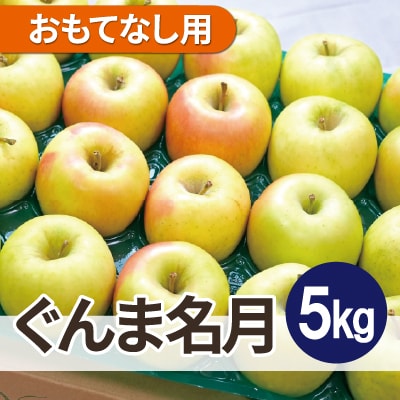 【26年4月出荷予定】平均糖度13度以上! ぐんま名月 約5kg おもてなし用 CA貯蔵 クール便【配送不可地域:離島・沖縄】【1612877】青森県青森市18000果物・フルーツりんご・梨