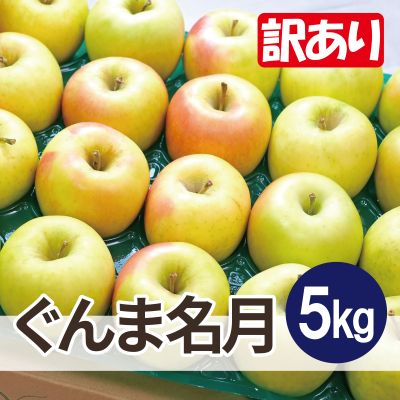 【26年4月出荷予定】平均糖度13度以上! ぐんま名月 約5kg 訳あり CA貯蔵 クール便【配送不可地域:離島・沖縄】【1612879】青森県青森市12000果物・フルーツりんご・梨