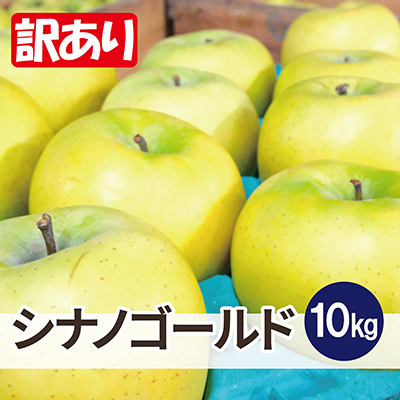 平均糖度13度以上! シナノゴールド 約10kg 訳あり【配送不可地域:離島・沖縄】【1612925】青森県青森市16000果物・フルーツりんご・梨