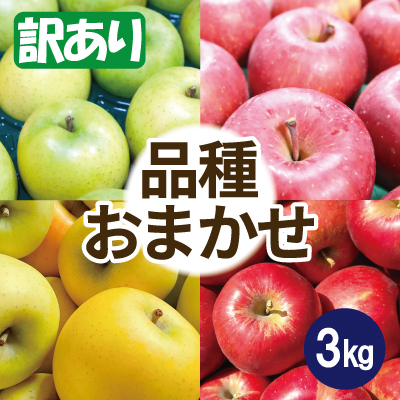 りんご 品種おまかせ 約3kg 訳あり【配送不可地域:離島・沖縄】【1612939】青森県青森市9000果物・フルーツりんご・梨
