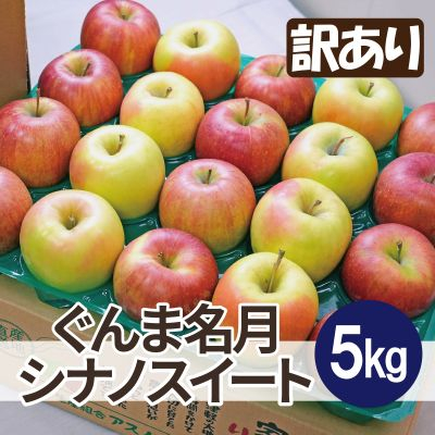【25年11月出荷予定】糖度13度以上保証! ぐんま名月×シナノスイート 約5kg 訳あり【配送不可地域:離島・沖縄】【1613011】青森県青森市12000果物・フルーツりんご・梨