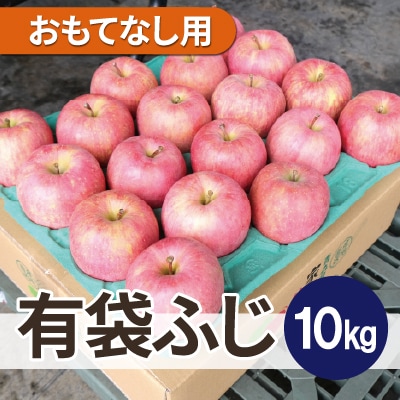 平均糖度13度以上! 有袋ふじ 約10kg おもてなし用 CA貯蔵 クール便【配送不可地域:離島・沖縄】【1613038】青森県青森市33000果物・フルーツりんご・梨
