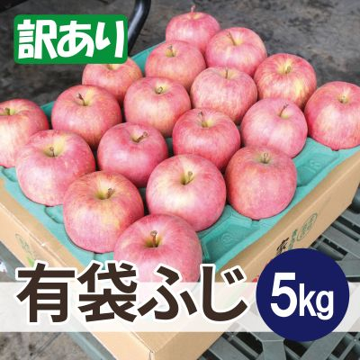 平均糖度13度以上! 有袋ふじ 約5kg 訳あり CA貯蔵 クール便【配送不可地域:離島・沖縄】【1613049】青森県青森市15000果物・フルーツりんご・梨