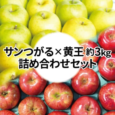 【25年8月より順次発送】糖度12度以上保証! 黄王×サンつがる 約3kg 訳あり クール便【配送不可地域:離島・沖縄】【1613853】青森県青森市9000果物・フルーツりんご・梨