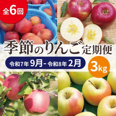 【発送月固定定期便】【25年9月〜26年2月】青森りんご 訳あり 品種おまかせ 3kg全6回【配送不可地域:離島・沖縄】【4066842】青森県青森市48000果物・フルーツりんご・梨
