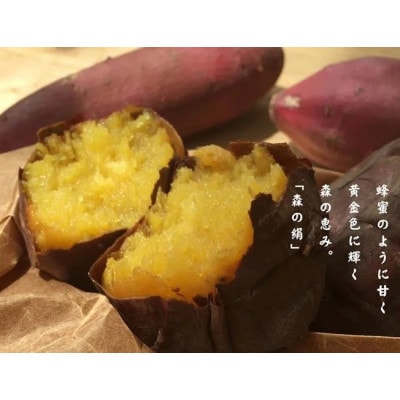 xTc}CuX̌vⓀĈ @1kgyzsnFzy1521962zѓ쒬10000؁ÊႪEC