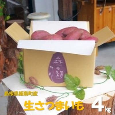 xTc}CuX̌vC(4kg)y1560150zѓ쒬15000؁ÊႪEC