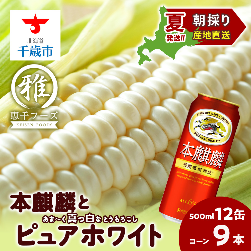 楽天市場】【ふるさと納税】[先行予約][定期便] こしひかり