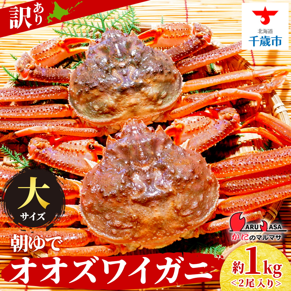北海道産【 朝ゆで 】訳ありオオズワイガニ 1.0kg詰 <かにのマルマサ>道産品 オオズワイ ズワイガニ ずわい蟹 カニ 蟹 規格外品 不揃い 訳アリ 訳有り北海道千歳市17000魚介・海産物カニ