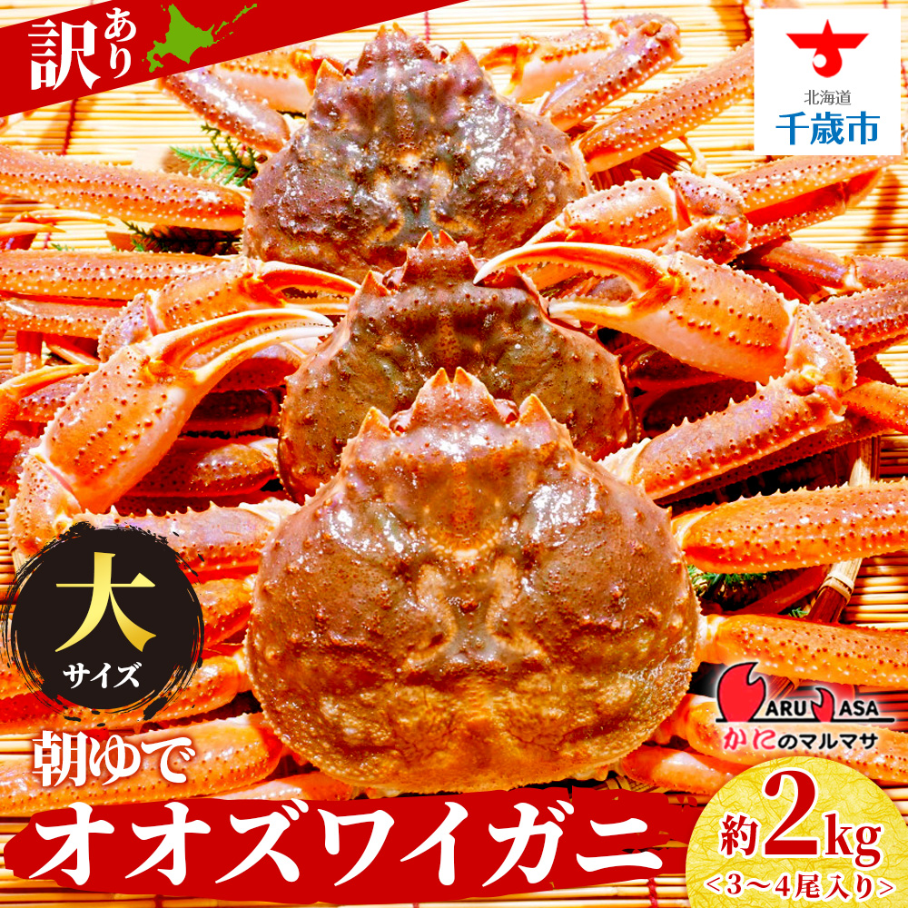 北海道産【 朝ゆで 】訳ありオオズワイガニ 2.0kg詰 <かにのマルマサ>道産品 オオズワイ ズワイガニ ずわい蟹 カニ 蟹 規格外品 不揃い 訳アリ 訳有り北海道千歳市34000魚介・海産物カニ