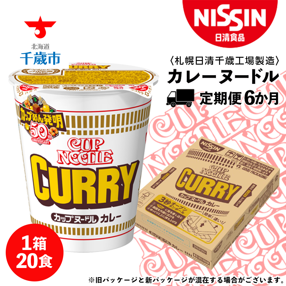 【定期便6か月】日清 カレーヌ−ドル★1箱(20食入)北海道千歳市78000麺その他 麺