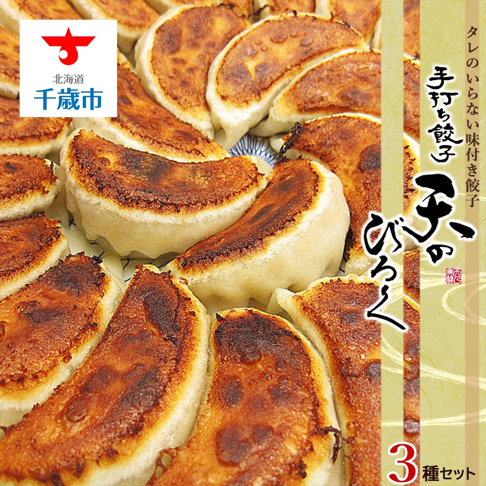 こだわりの手打ち餃子★天のびろく 3種セット<手打ち餃子のびろく>北海道千歳市12000肉その他 肉