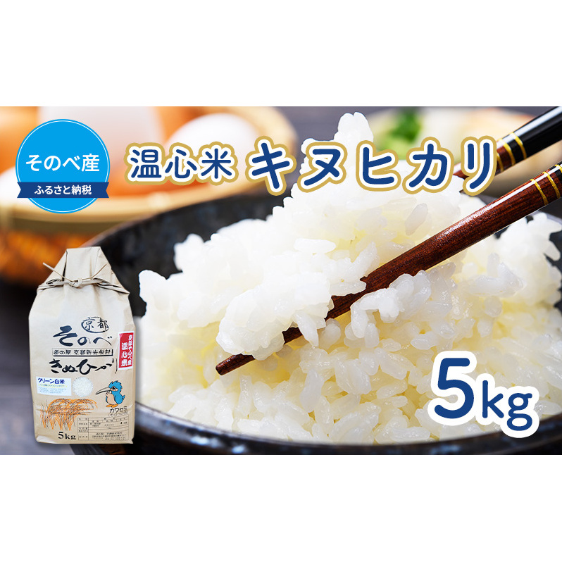 米 キヌヒカリ 5kg ×1袋 そのべ産 温心米 2024年度産 お米 単一原料米 きぬひかり 丹波 精米 白米 こめ コメ 京都 京都府南丹市13000米・パン白米