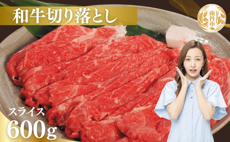 牛肉 京都もり牛 切り落とし スライス 600g 京都府産 国産 国産牛 和牛 黒毛和牛 焼き肉 焼肉 BBQ バーベキュー カレー 牛丼 鍋 お肉 牛 肉 ブランド ギフト 冷凍 京都 京都府南丹市15000肉牛肉