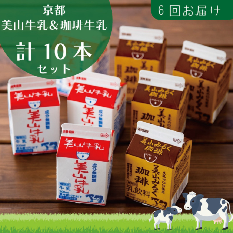   6 s R 200ml ×5{ 苍 ×5{ lߍ킹 Zbg R  R[q[ pbN pbN 200mL  y 6 kCEEւ̔s 