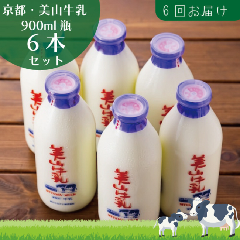 牛乳 定期便 6ヶ月 京都 美山牛乳 瓶 900ml ×6本 セット 美山町 お取り寄せ 定期 お楽しみ 6回 ※北海道・沖縄・離島への発送不可 京都府南丹市130000卵・乳製品牛乳・乳飲料