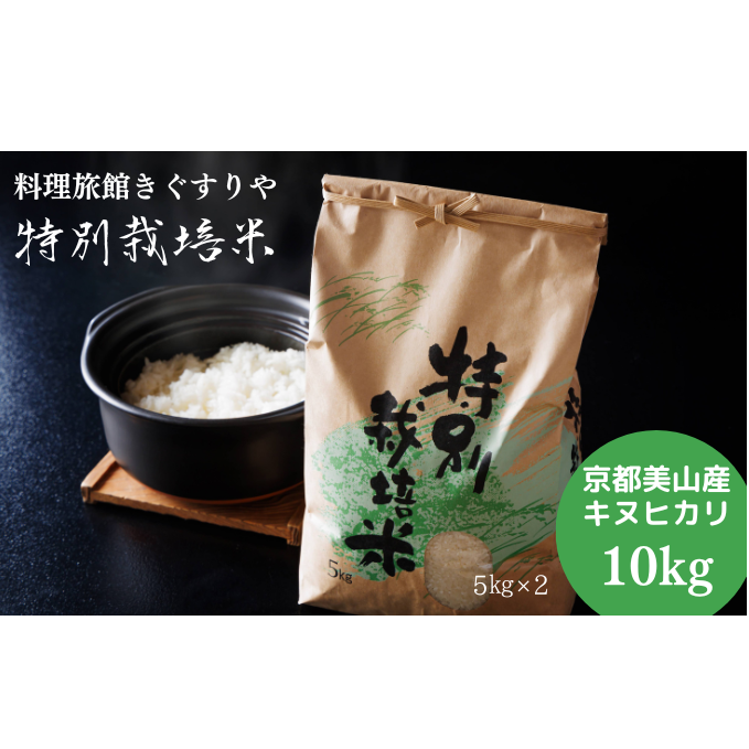 yߘa6NxVāz ق ʍ͔| LkqJ 10kg     R _͔| 10L 5kg×2  ͂ s@9{菇 s{Os28000āEp
