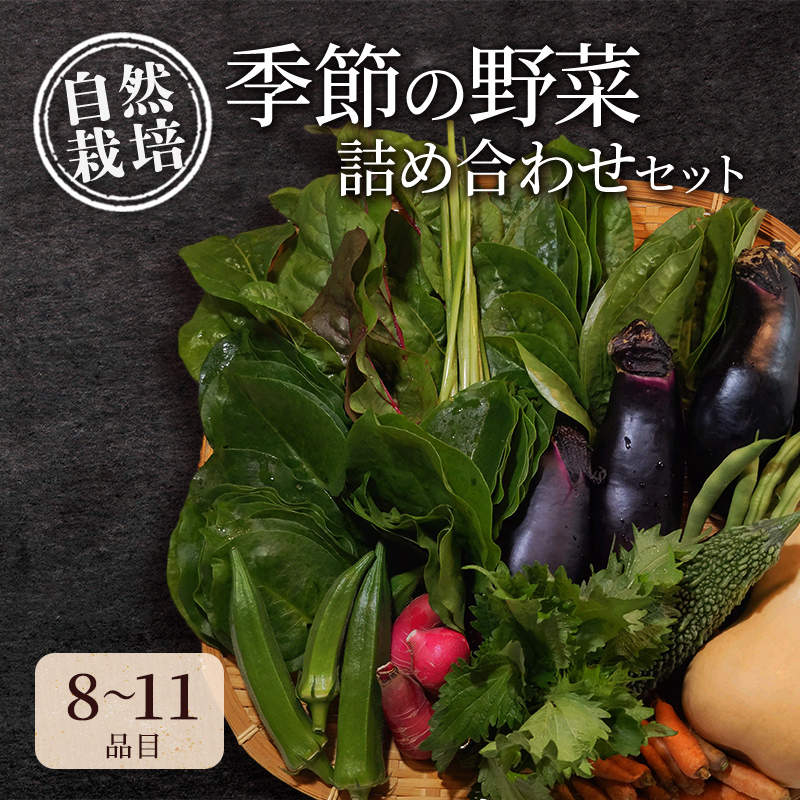 自然栽培・季節の野菜詰め合わせセット 旬 新鮮 採れたて 栽培期間中 無農薬 無化学肥料 安心安全 自然派 産地直送 やさい 詰め合わせ 京都府 南丹市京都府南丹市11000野菜・きのこその他