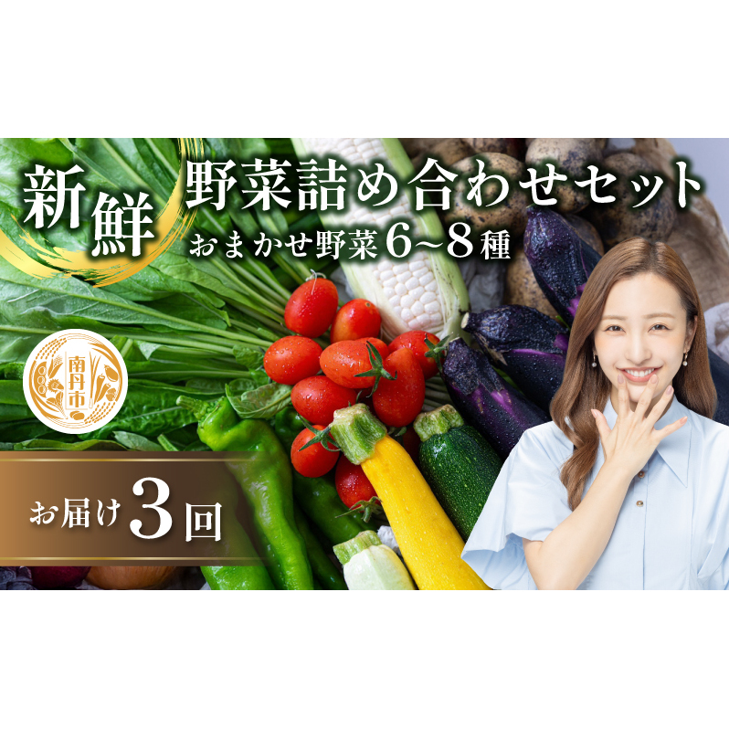 【定期便3回】新鮮 野菜 詰め合わせ セット京都府南丹市31000野菜・きのこその他 野菜