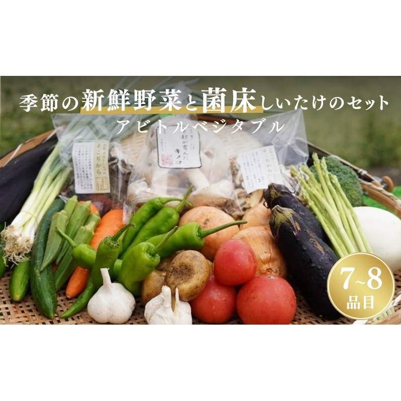 季節の新鮮野菜と菌床しいたけのセット アビトルベジタブル 野菜 詰め合わせ 旬 新鮮 京都府 南丹市京都府南丹市15000野菜・きのこその他 野菜
