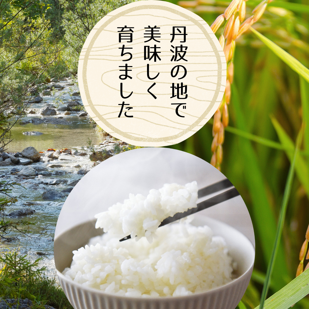 京都丹波産 コシヒカリ 5kg 白米京都府南丹市13000米・パン白米