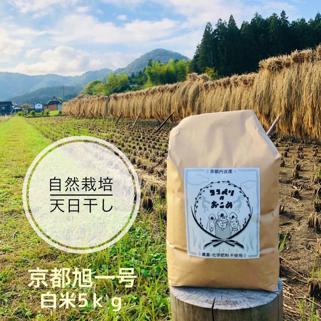 肷āIR͔|EV̋sꍆ 5kg ͔|Ԓ_sgp 엿 ͔|Ԓwgpsgp 󏭕i sOgn OsY 邿   ċs{