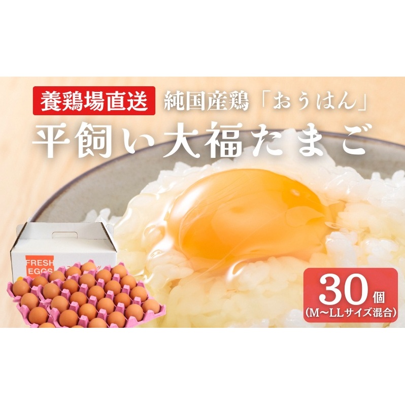 産地直送 大福たまご 30個京都府南丹市10000卵・乳製品卵(鶏、烏骨鶏等)