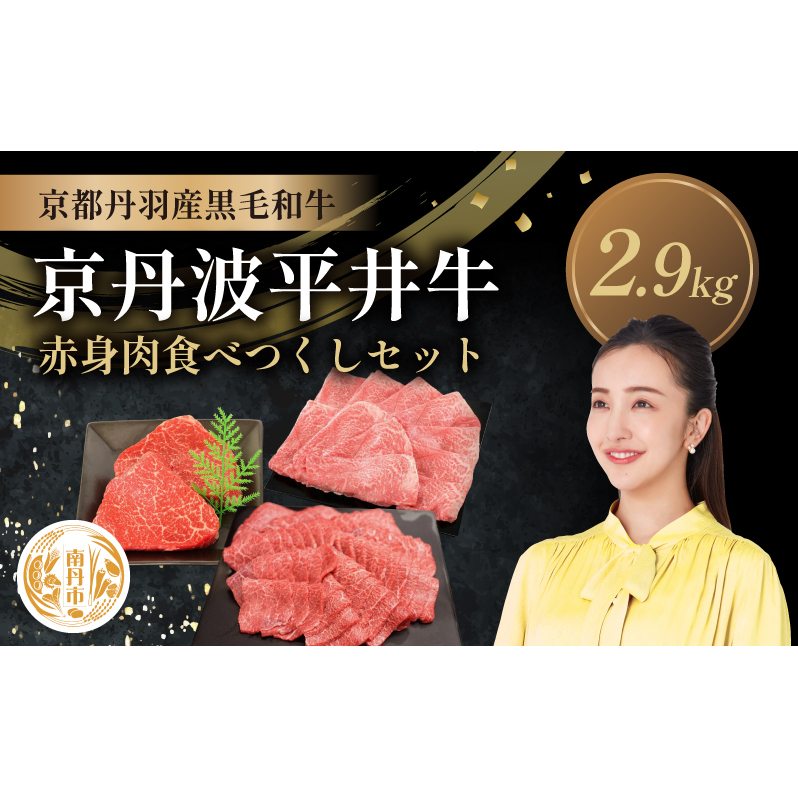 Yјa ԐgHׂZbg 2.9kg Og䋍 sOgYs{Os120000