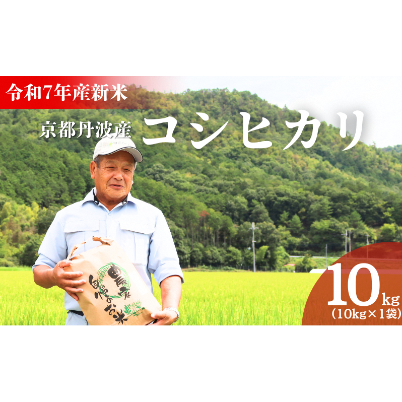 令和7年産新米 京都丹波産コシヒカリ 10kg 米 こしひかり 精米 白米 京都府南丹市22000米・パン白米